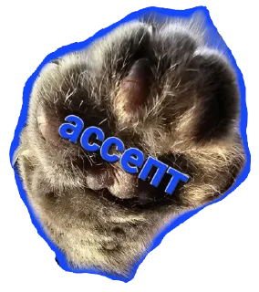 Стикер Shu - 1