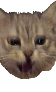 Стикер Shu - 0