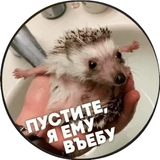 Sticker @shulya_95 👑 - 7