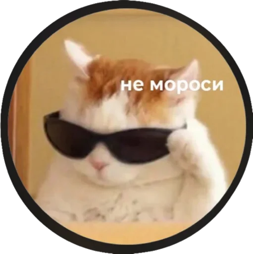 Sticker @shulya_95 👑 - 5