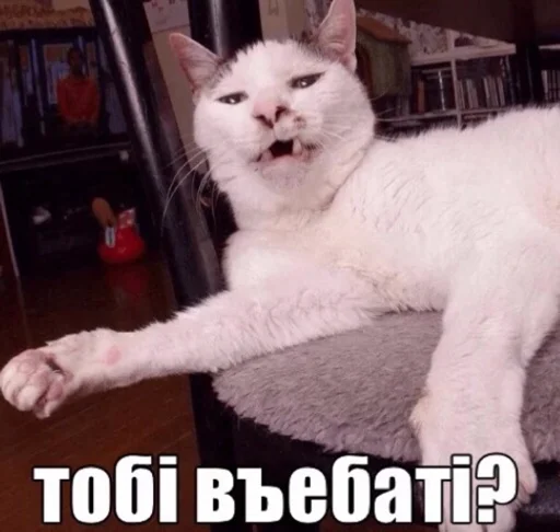 Sticker @shulya_95 👑 - 0