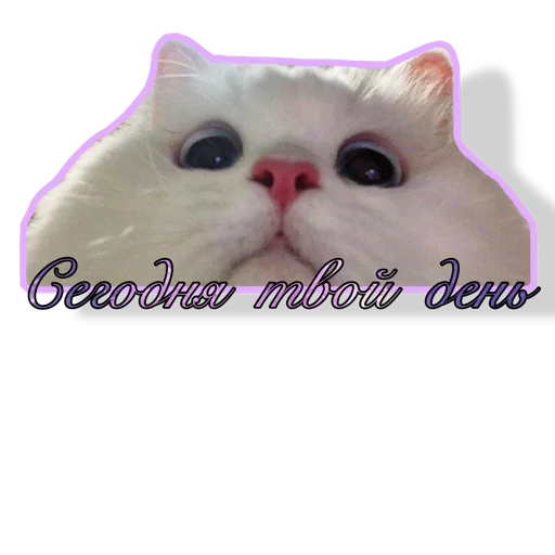 Стикер Shurochka_o - 1