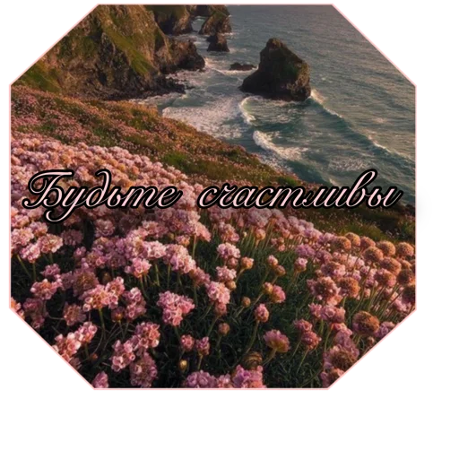 Sticker Shurochka_o - 1