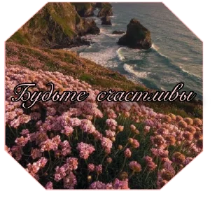 Sticker Приятные стикеры от @AestheticsOfASMR - 10