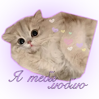 Sticker Приятные стикеры от @AestheticsOfASMR - 3