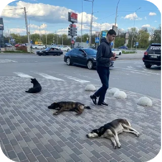 на открытом воздухе небо автомобиль