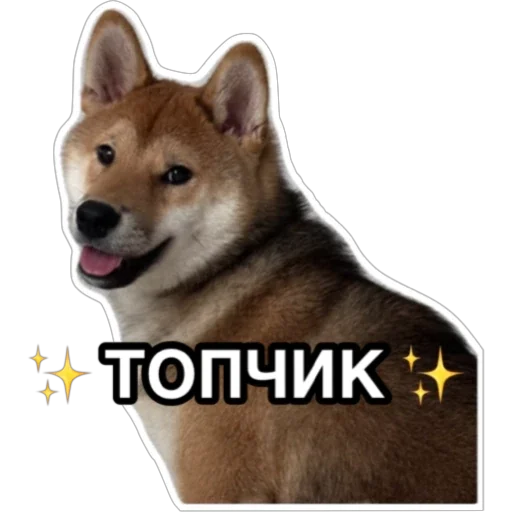 Sticker Siba_Oscar - 1