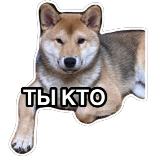 Sticker Siba_Oscar - 1