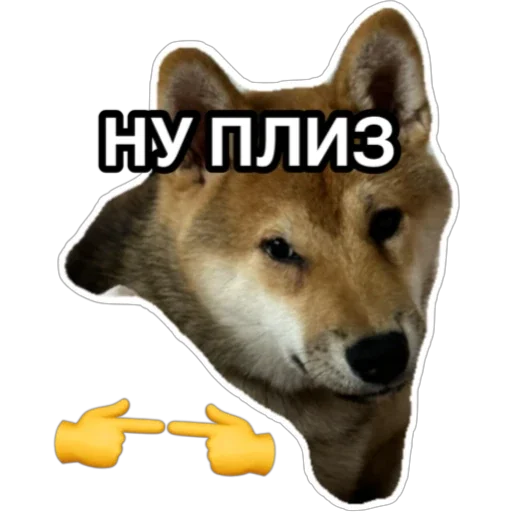 Sticker Siba_Oscar - 1