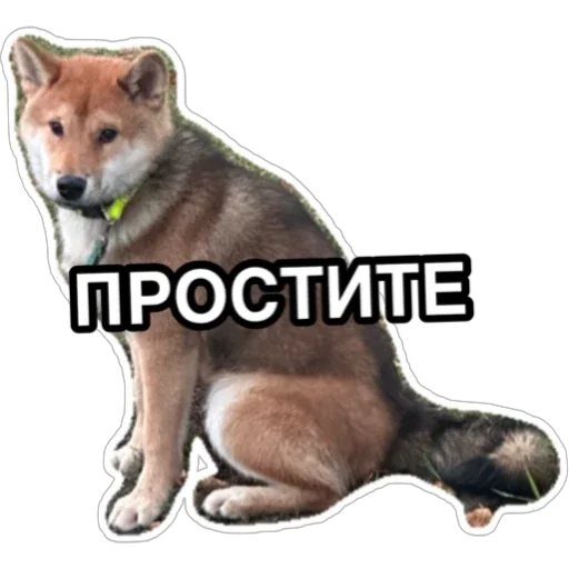 Sticker Siba_Oscar - 1