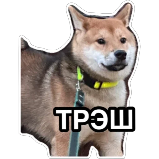 Sticker Siba_Oscar - 1