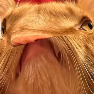 Sticker Симба - 8