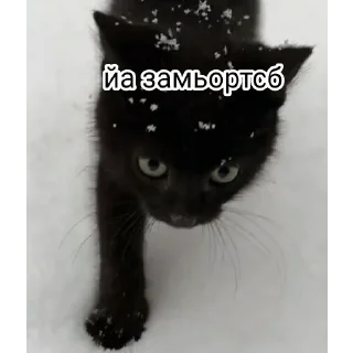 Sticker Симба - 9