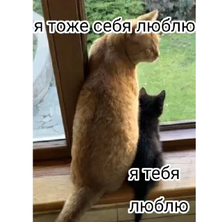 Sticker Симба - 5