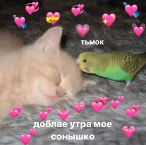 Fucking life - животное