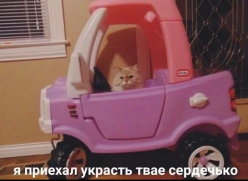 шина колесо автомобиль