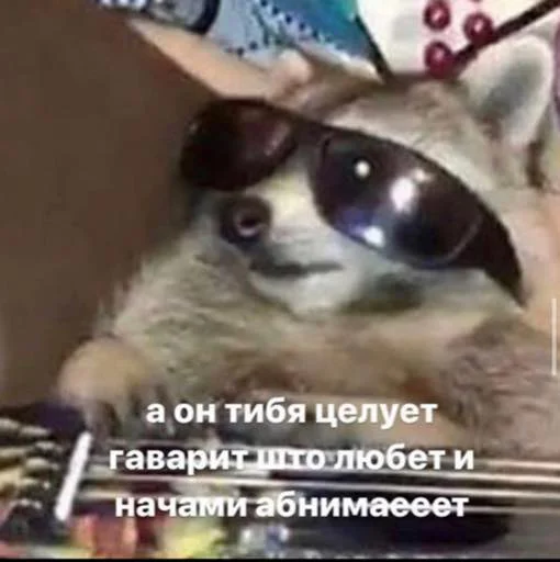 СМС животное млекопитающее