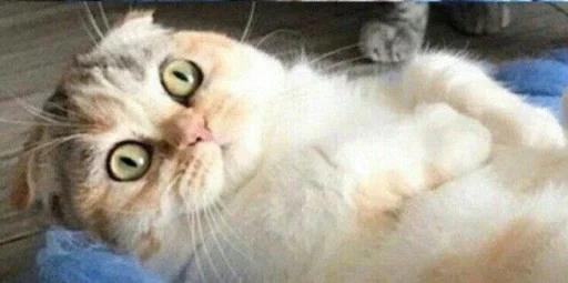 Sticker Для важных переговоров by @fStikBot - 8