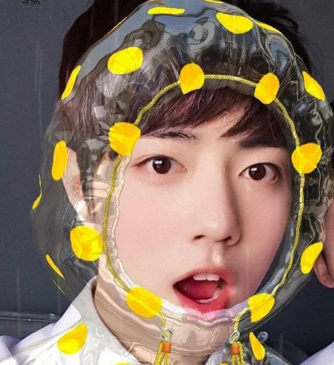 человеческое лицо Человек цветок