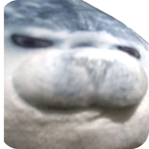 Sticker Sigma8972 - 1