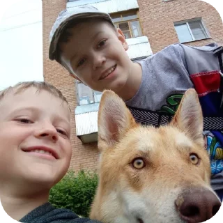 Sticker Сигма Брух стикеры - 6