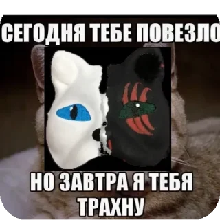 Стикер Сигма Морок - 1