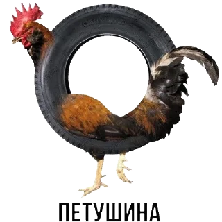 Sticker SignalSPB - 6