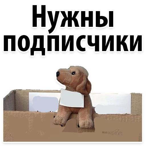 СМС мультфильм медведь