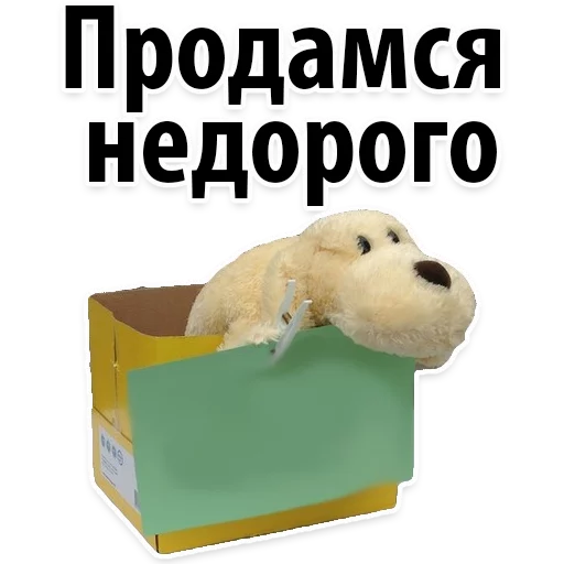 СМС медведь животное