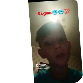 Sticker Сикмо 228 - 4