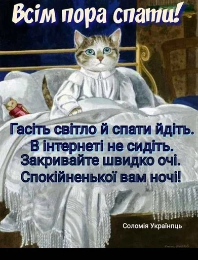 Стикер Sillycatskitties - 1