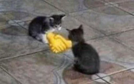 Sticker Sillycatskitties - 1