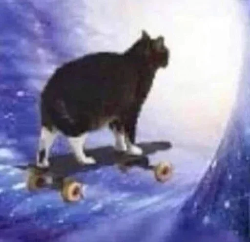 Sticker Sillycatskitties - 1