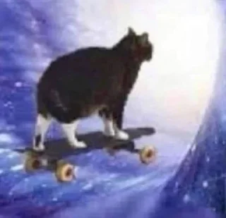 Стикер Silly cats - 4