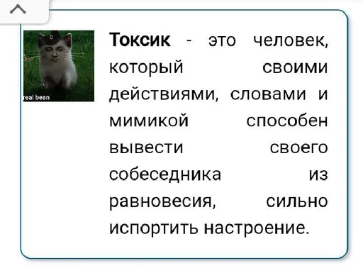 СМС скриншот животное