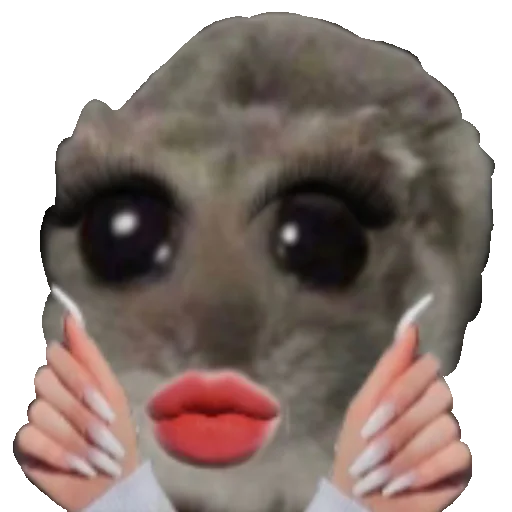 Стикер SimfoniyaHomika - 1