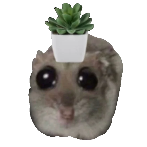 Sticker SimfoniyaHomika - 1