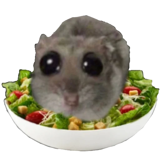 Стикер SimfoniyaHomika - 1