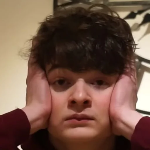 Человек человеческое лицо комнатный