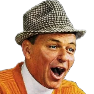 Sticker Sinatra top - 11