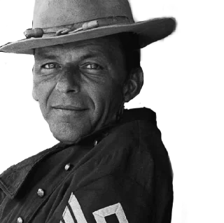 Sticker Sinatra top - 3