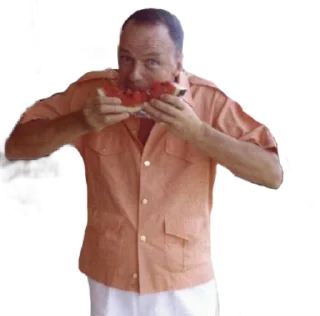 Sticker Sinatra top - 9