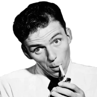 Sticker Sinatra top - 5