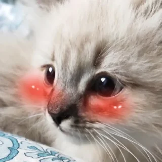 Стикер Сири - 3