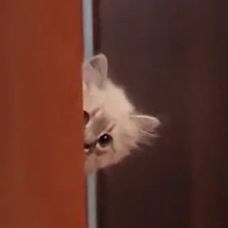 Стикер Сири - 11