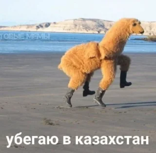 Sticker Хуй бумажный - 2