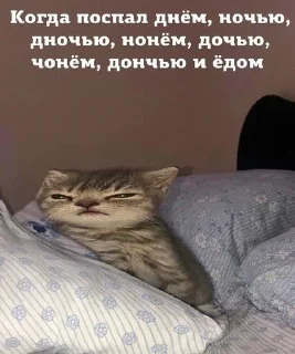 Sticker Хуй бумажный - 10