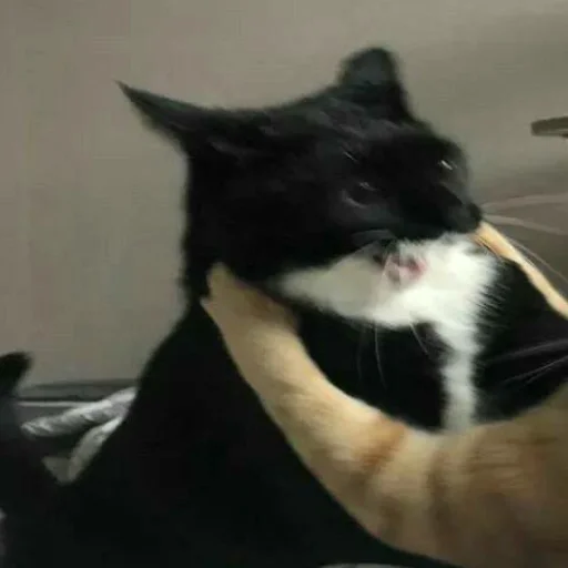 Стикер The Godfather - 10