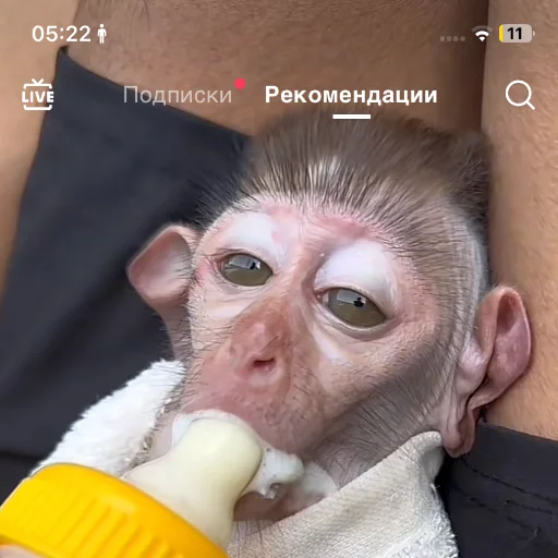 Sticker Sisihcki - 1