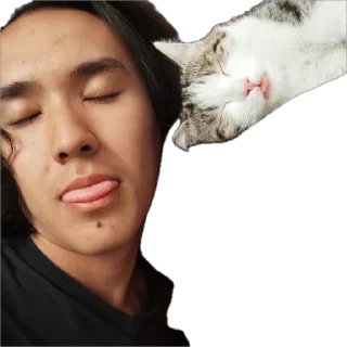 Стикер Шиза @TgEmodziBot - 1